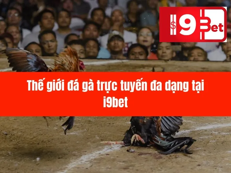 Đá Gà Trực Tuyến